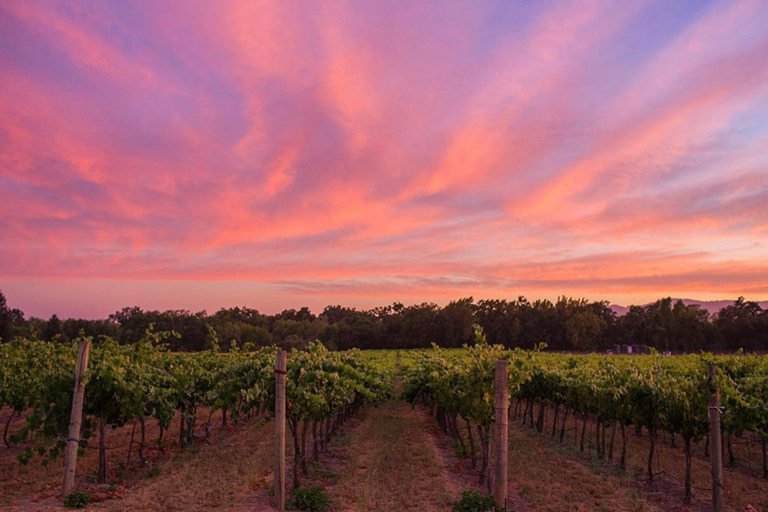 #EscapeMore: Napa Valley, CA