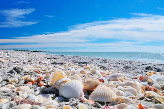 #SunshineSpotlight: Sanibel Travel Guide