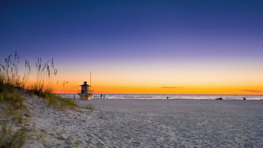 #SunshineSpotlight: St. Pete Travel Guide