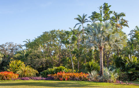 Fairchild Tropical Botanic Garden