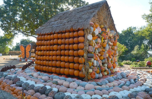 Dallas Arboretum Pumpkin Village