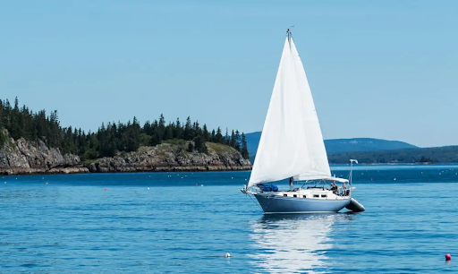 Sailboat on Frenchman's Bay