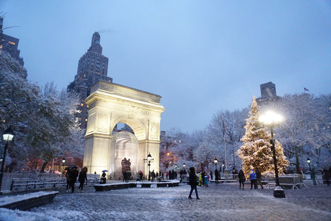 Snowy Winter scene in New York